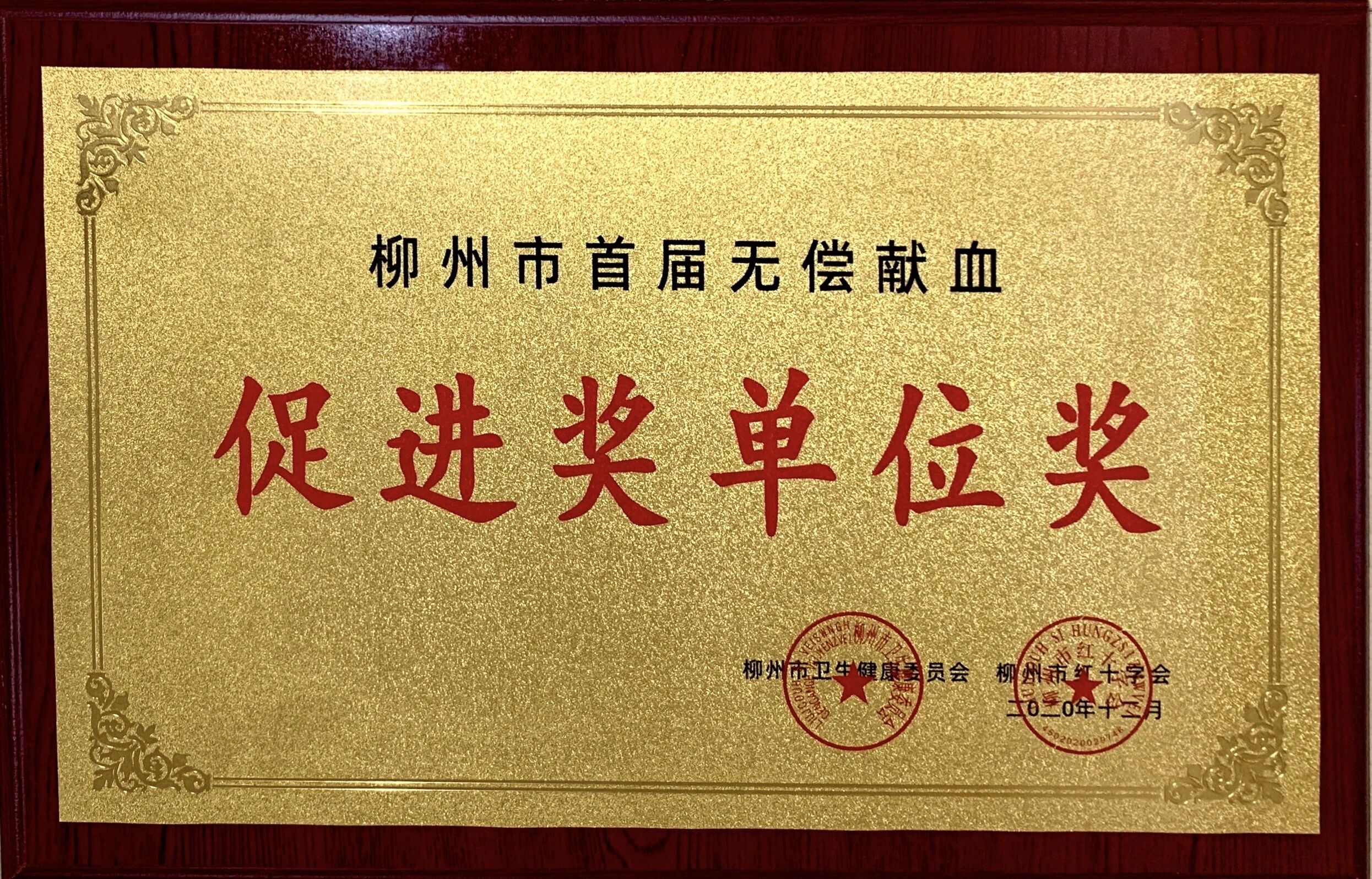 202012311013191045.jpg 202012311013191045.jpg