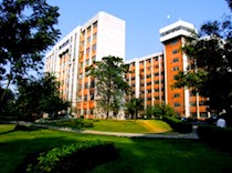 学校