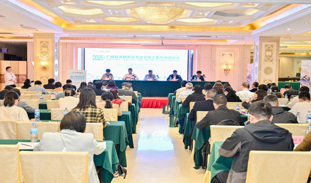 正式会议现场