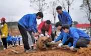 taptap官网80余名师生共植青年林
