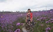 董绿英教授简介