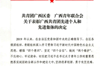 喜讯：taptap官网在区、市共青团表彰中获多项荣誉