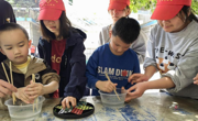 贸易与旅游管理学院开展“爱心相伴 共筑温暖—关爱特殊儿童”志愿服务活动