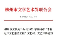 喜讯：taptap官网对口帮扶村三江牙寨村获评柳州市“文艺村”